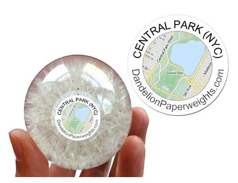 "The Central Park Weeds" - NYC Inspired Dandelion Paperweight