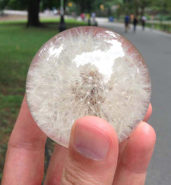 The Original Dandelion Paperweight – Dandelion Paperweights