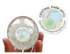 "The Central Park Weeds" - NYC Inspired Dandelion Paperweight