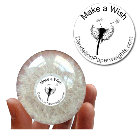 "Make a Wish" - Birthday Dandelion Paperweight