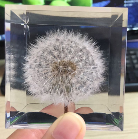 Dandelion Paperweight Block