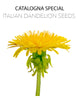 Catalogna Special Italian Dandelion Seed
