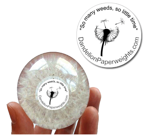 "So Many Weeds" - Mother's Day Dandelion Paperweight