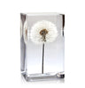 Dandelion Paperweight Block