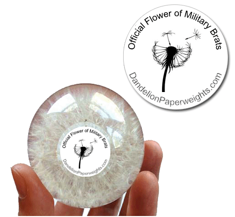"Official Flower of Military Brats" - Special Edition Dandelion Paperweight